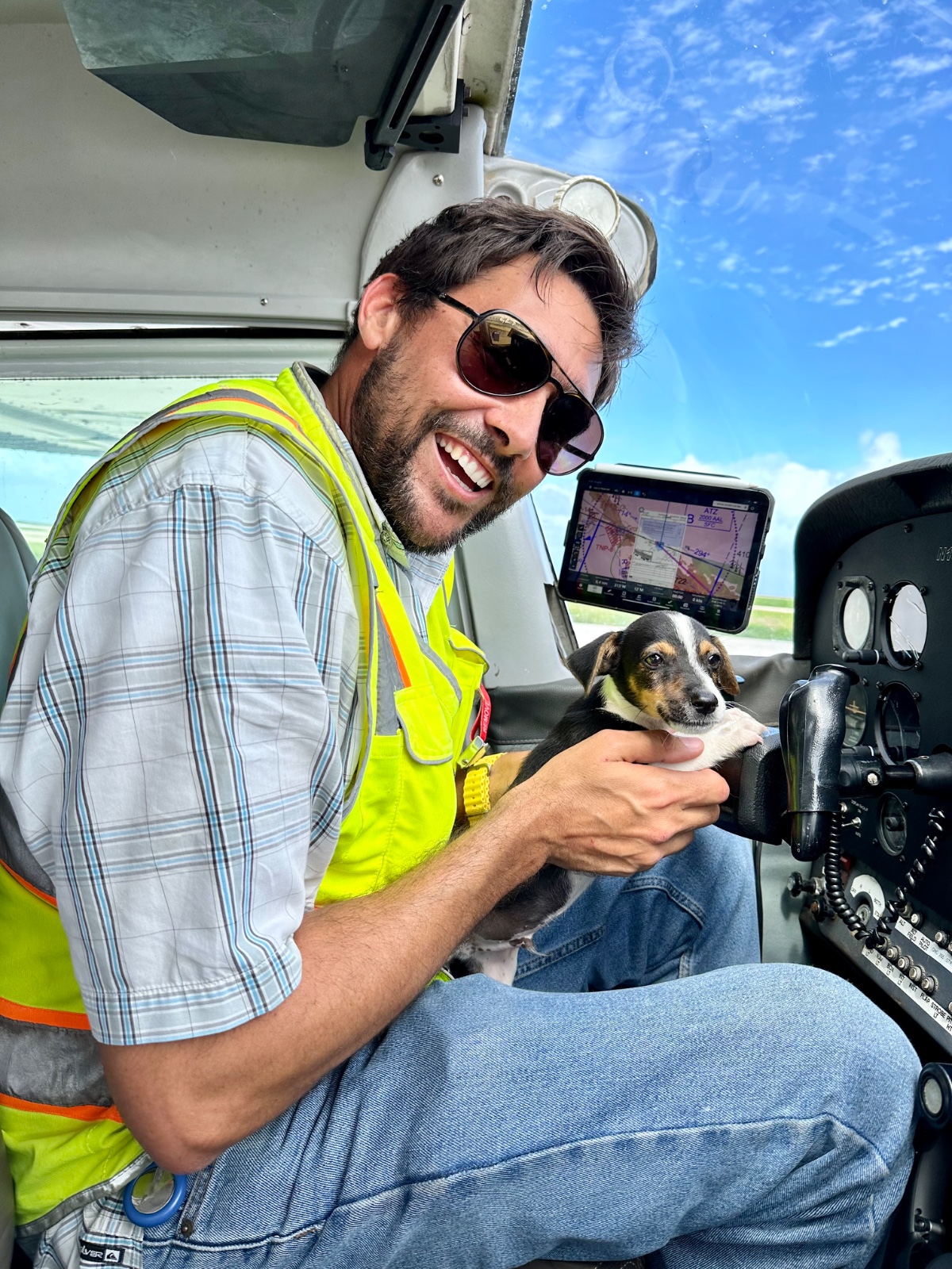 El perro en el avion